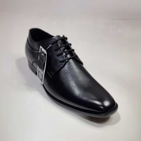Elegance Oxford - Black